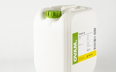 Ovam 25
