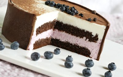 Borůvkovo-tvarohový dort