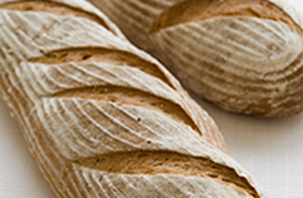 Konzumní chléb (Brewers Yeast Base, Jung Roggenstabil)